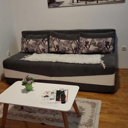 Nakii Apartmani 포드고리차 객실 사진