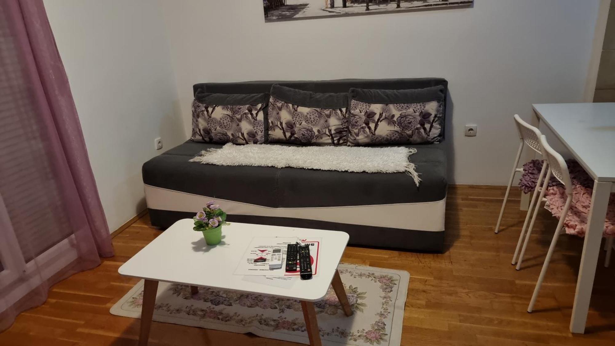 Nakii Apartmani 포드고리차 객실 사진